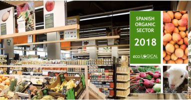 Guide to grocery shopping in Spain – markets, specialty stores, and online grocery shopping