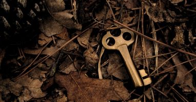 Guide to the common identification and authentication electronic signature